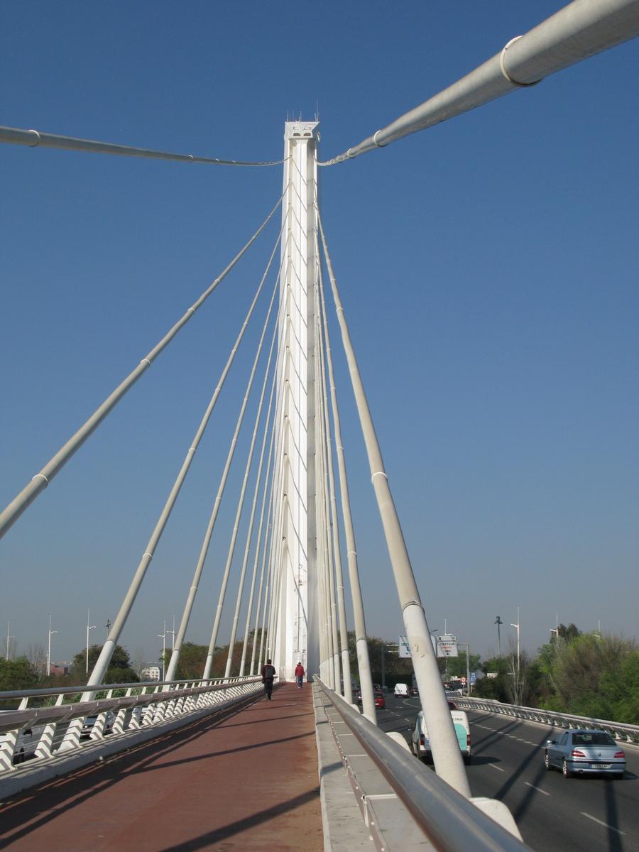 Alamillo Bridge 