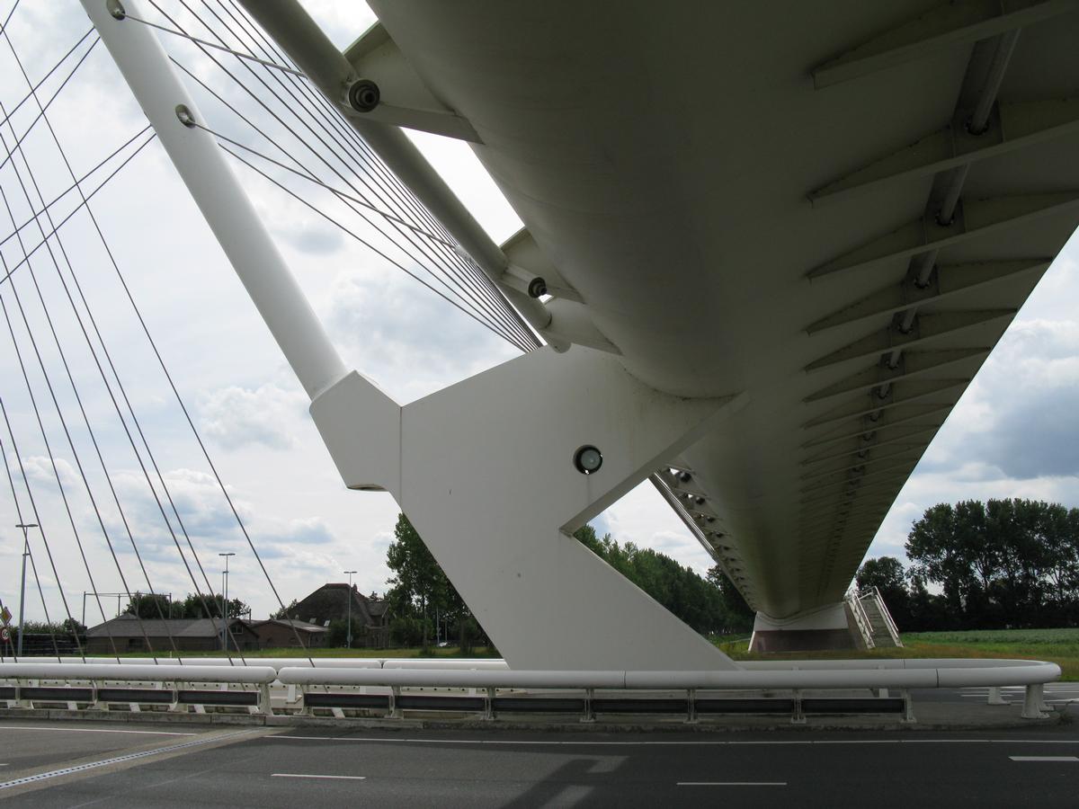 Citer Brug 