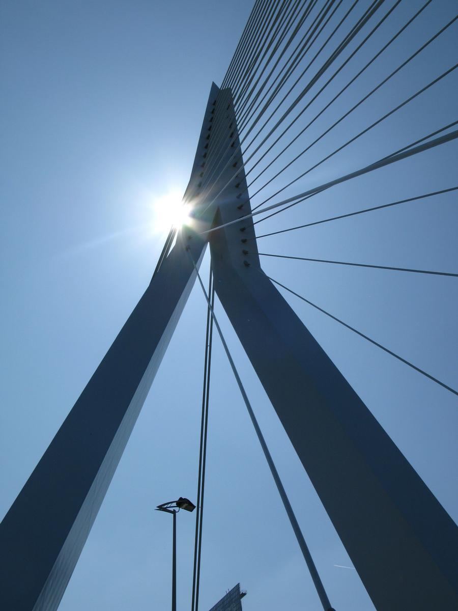 Rotterdam, Erasmus-Brücke 
