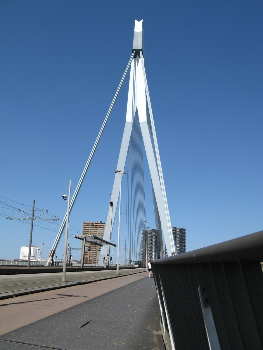 Erasmus Bridge 