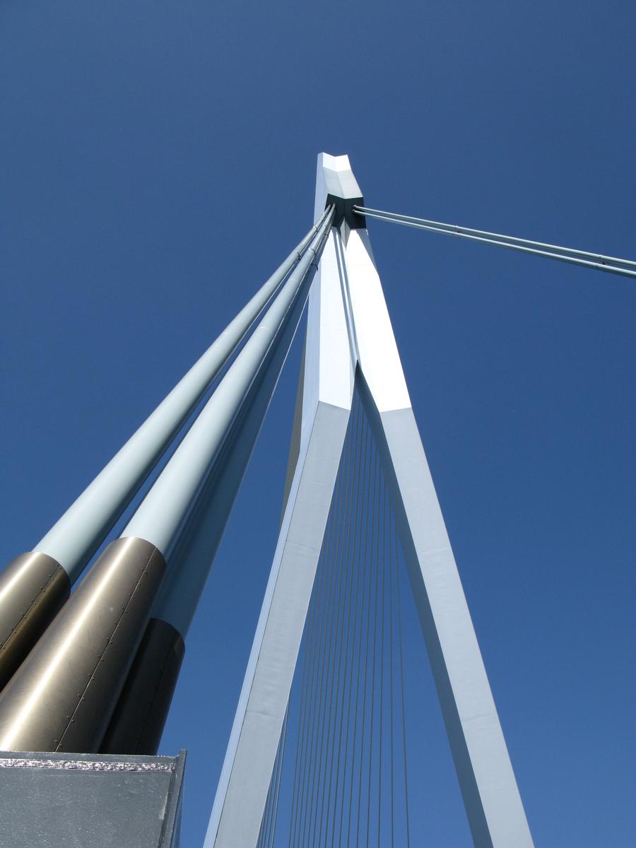 Rotterdam, Erasmus-Brücke 
