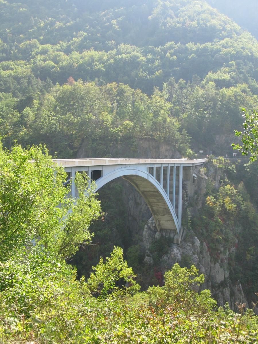 Pont de Ponsonnas 