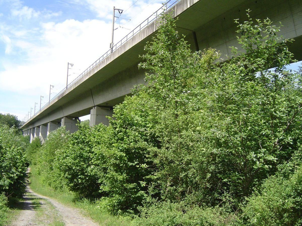 Frauenwald Viaduct 