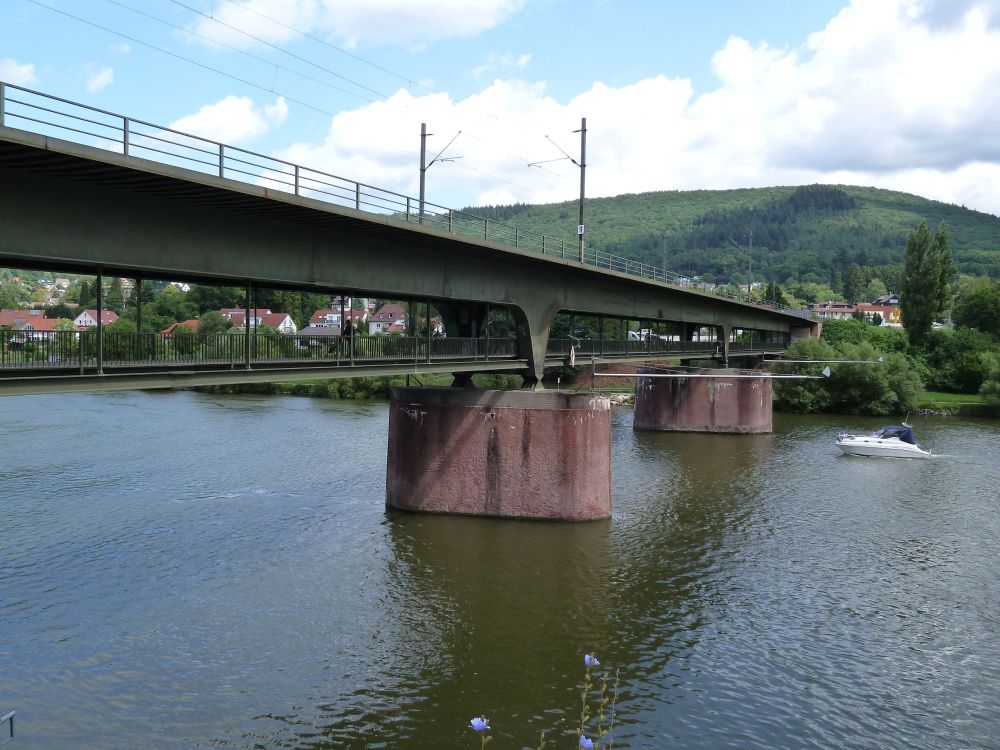Eisenbahnbrücke über den Neckar bei Neckargemünd 