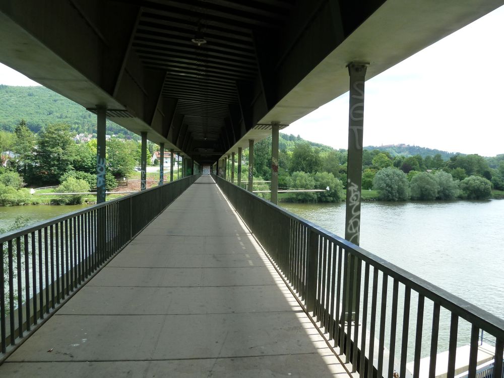 Eisenbahnbrücke über den Neckar bei Neckargemünd 