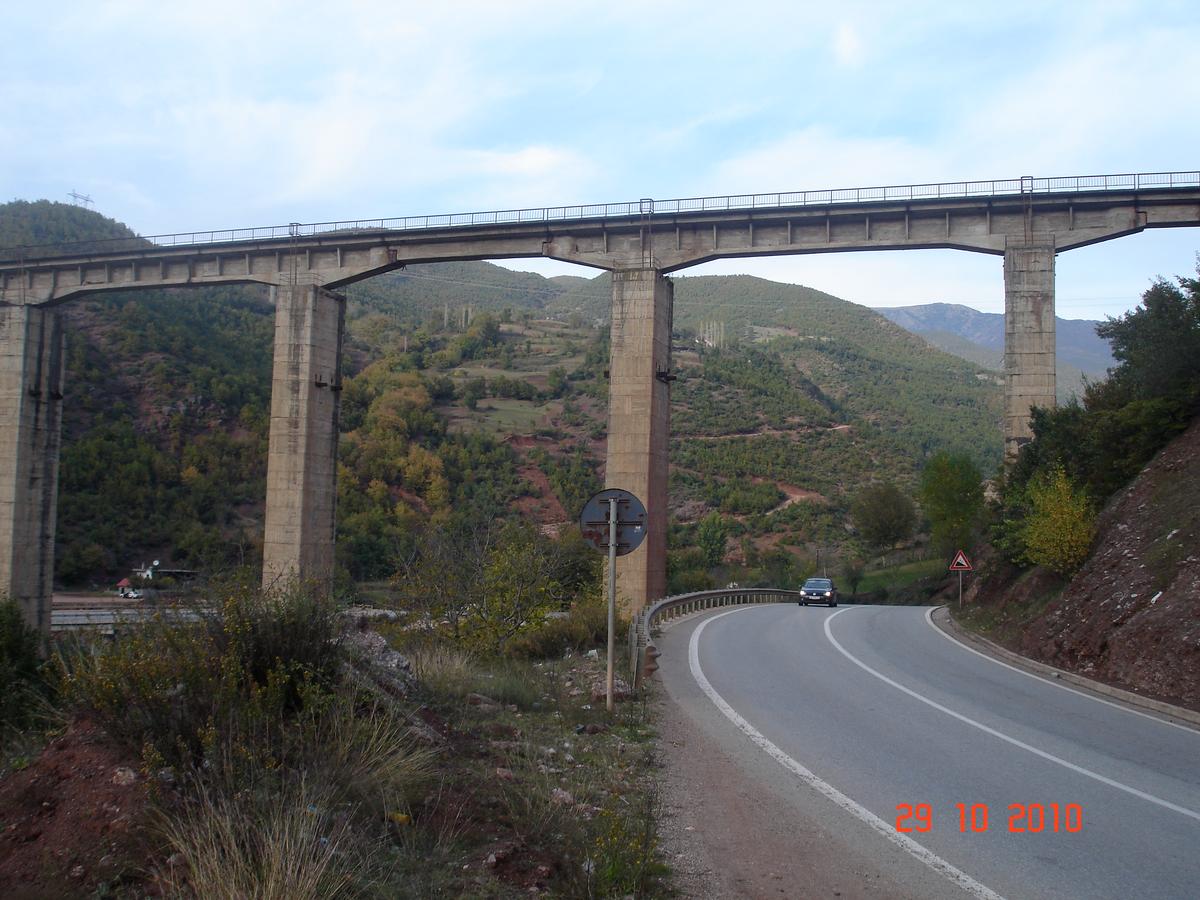 Bushtrica-Brücke 
