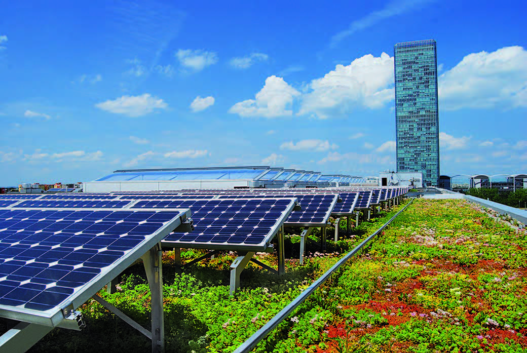 Die Dachbegrünung erhöht die Leistungsfähigkeit der Photovoltaikanlage, da sie für eine vergleichsweise niedrige Umgebungstemperatur sorgt 