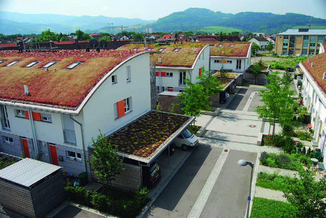 Die begrünte Siedlung in Freiburg schafft ein lebenswertes Ambiente 