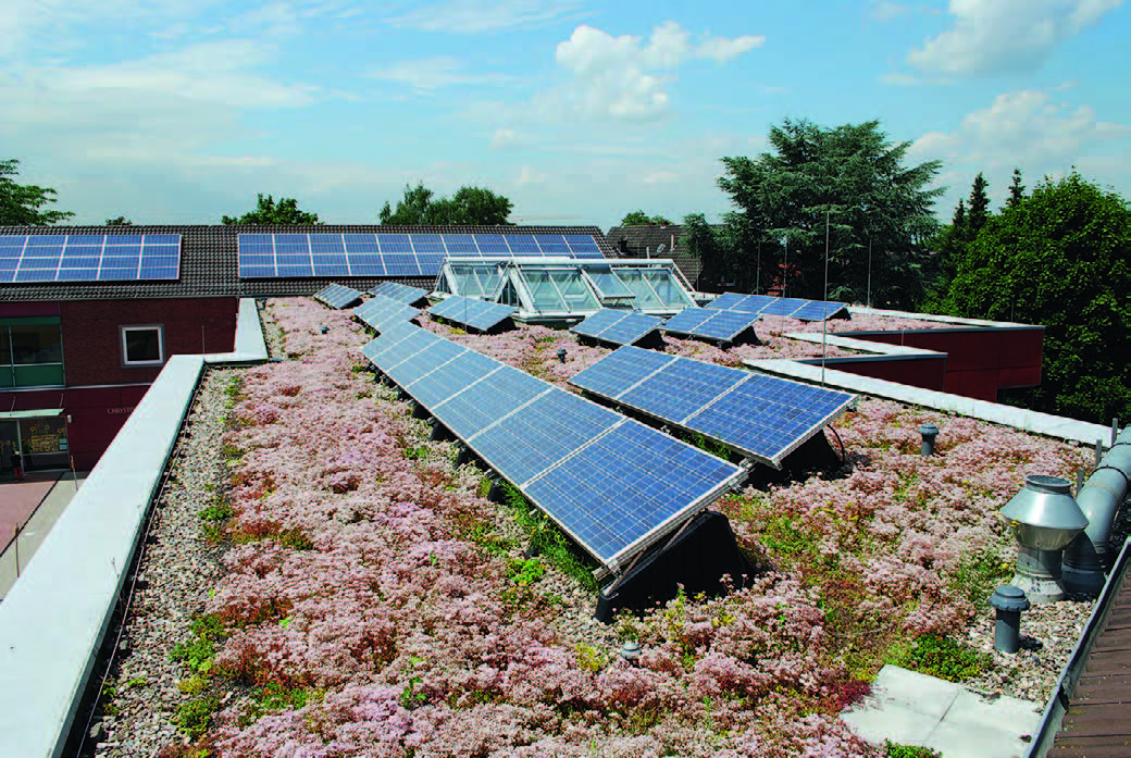 Kombination mit Zukunft – Photovoltaik und Dachbegrünung 