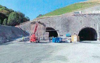 Violay Tunnel 