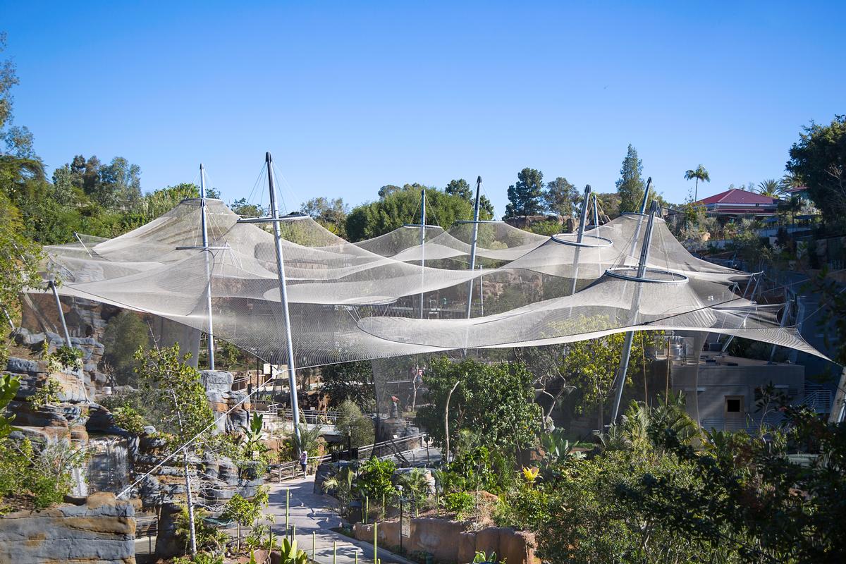 A transparent stainless steel mesh construction spans the enclosures of the new Africa Rocks development in San Diego Zoo. A transparent stainless steel mesh construction spans the enclosures of the new Africa Rocks development in San Diego Zoo.