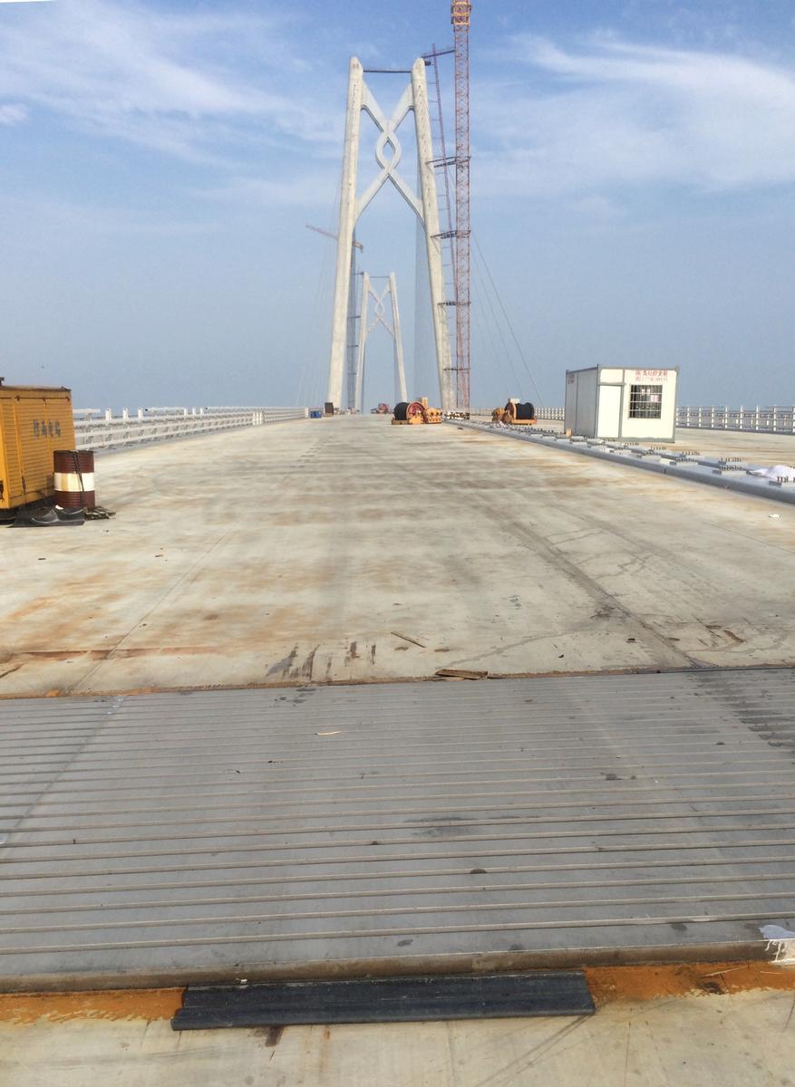 Jianghai-Schrägseilbrücke Die neuen Gleitlamellen-Dehnfugen wurden an den Hauptsegmenten der Jianghai-Schrägseilbrücke eingebaut.