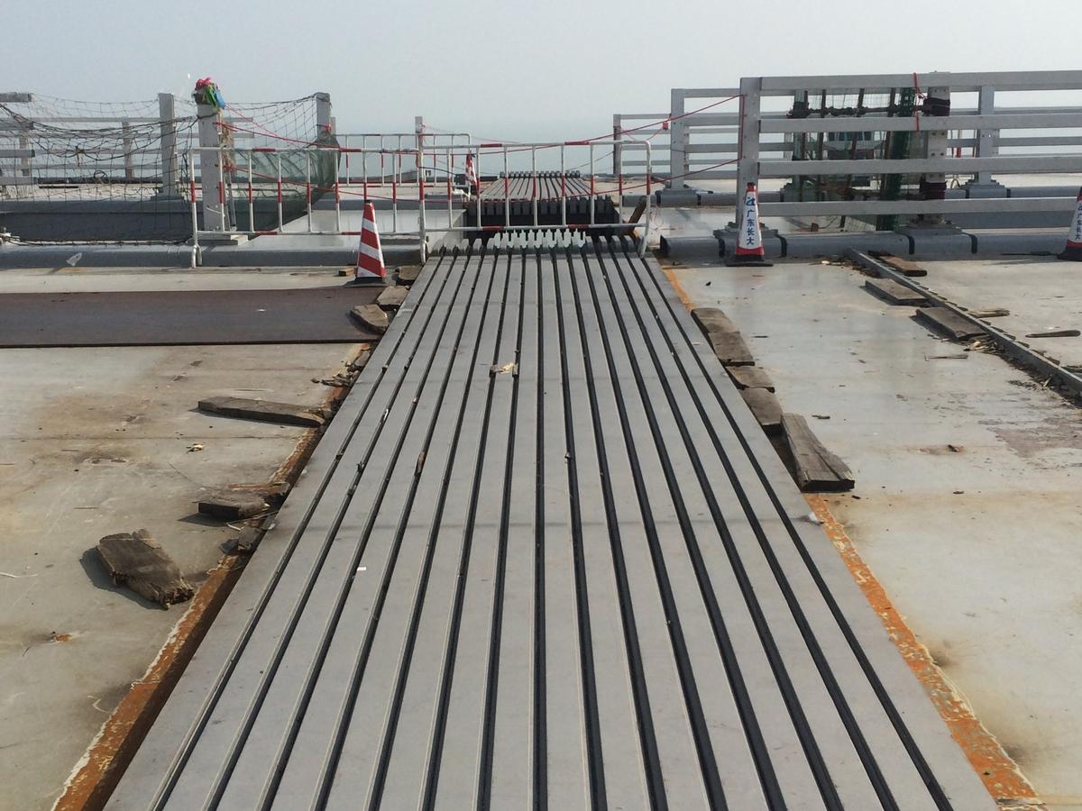 Exactly equal gaps between the lamellas demonstrate the exactness of the control system of the sliding lamella expansion joints. Exactly equal gaps between the lamellas demonstrate the exactness of the control system of the sliding lamella expansion joints.