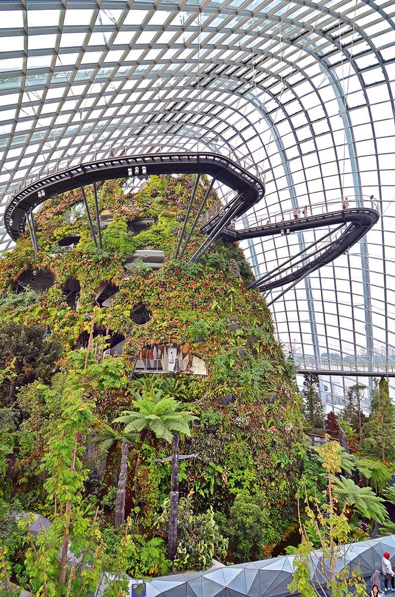 The Cloud Forest in the Gardens by the Bay 