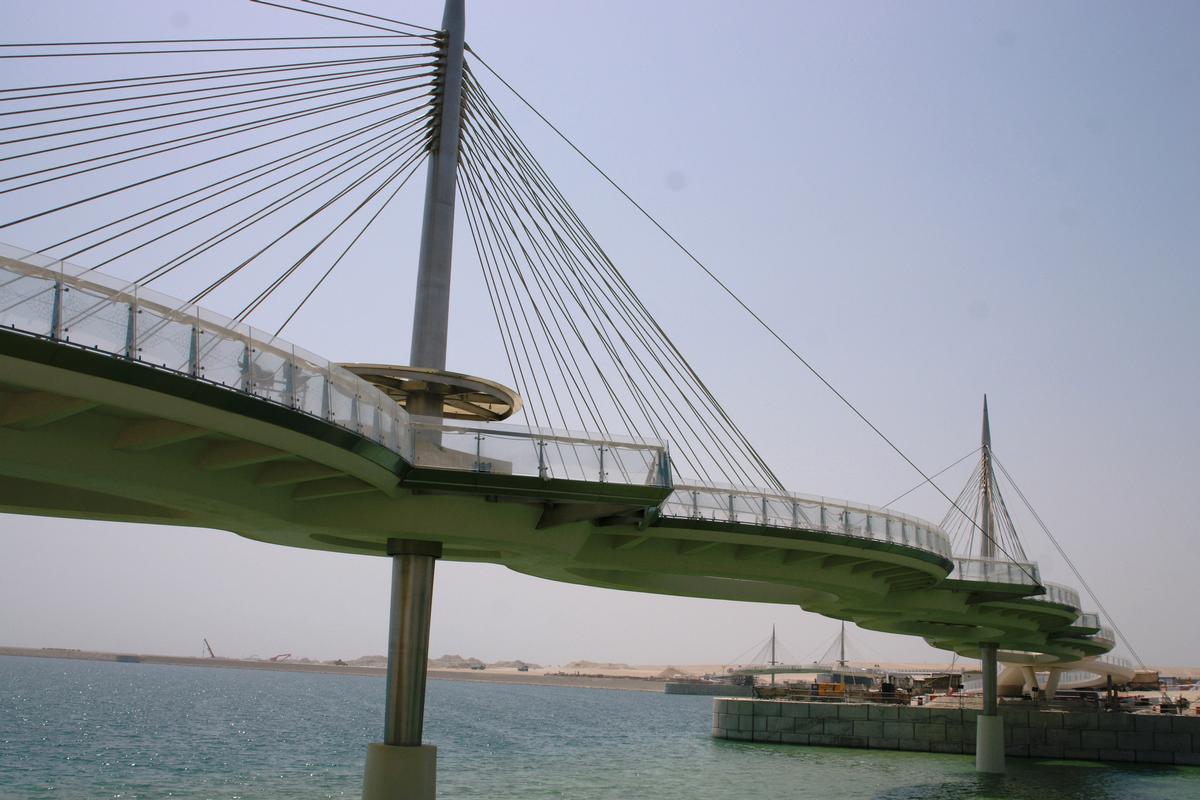 The bridge design resembles a necklace with interlocking ellipses. 