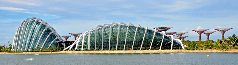 General view of the Gardens by the Bay 