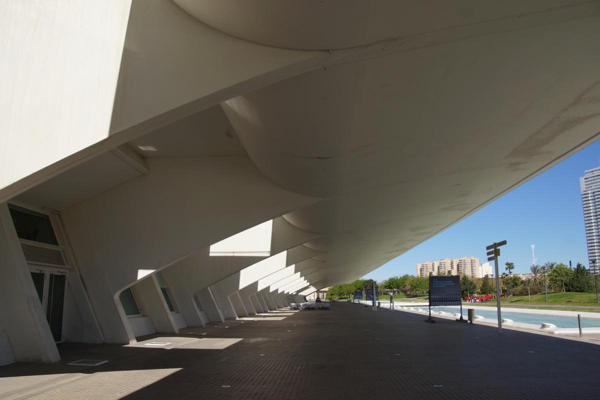 Museu de les Ciències «Príncipe Felipe» 