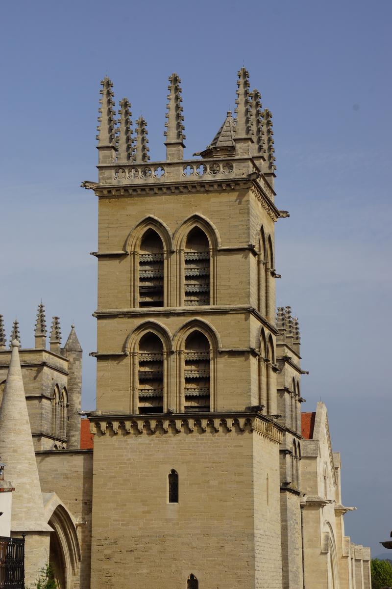 Montpellier Cathedral 