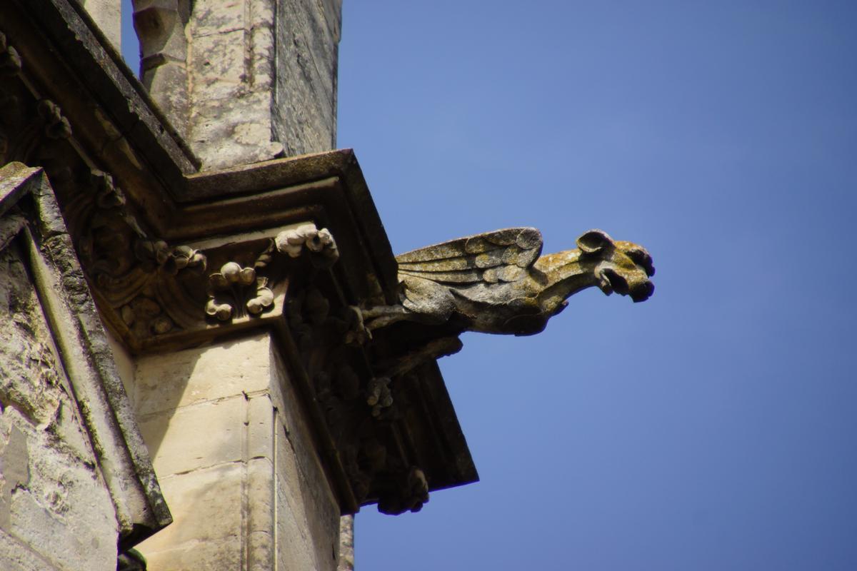 Montpellier Cathedral 