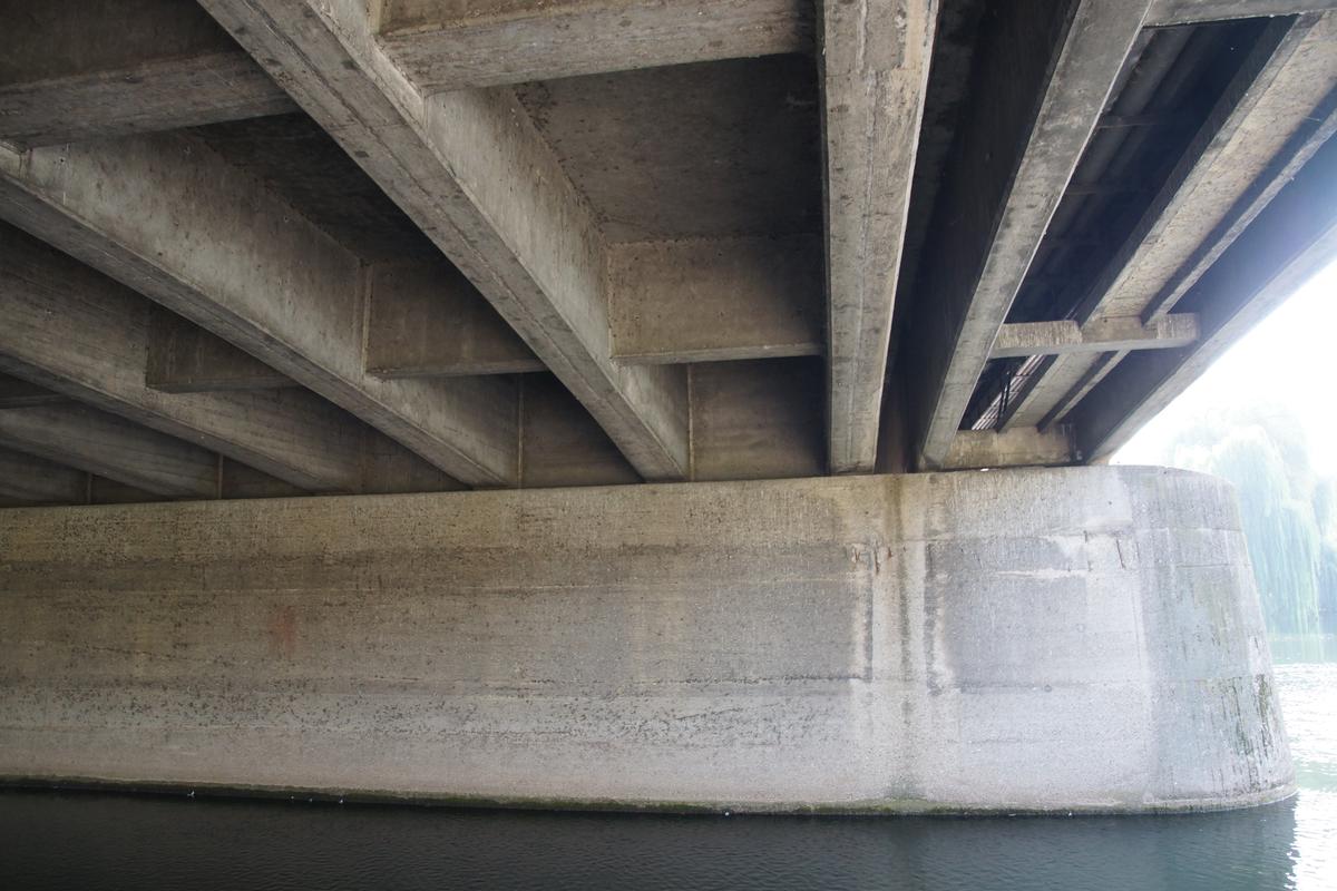 Pont Louis-Pasteur 