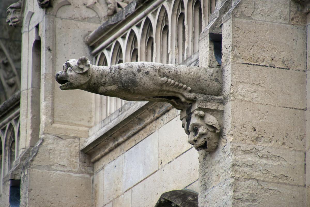 Laon Cathedral 