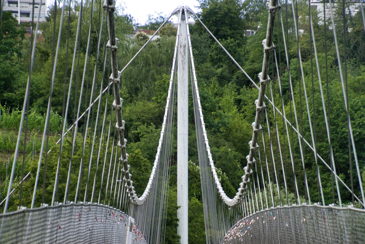 Passerelle Max-Eyth 