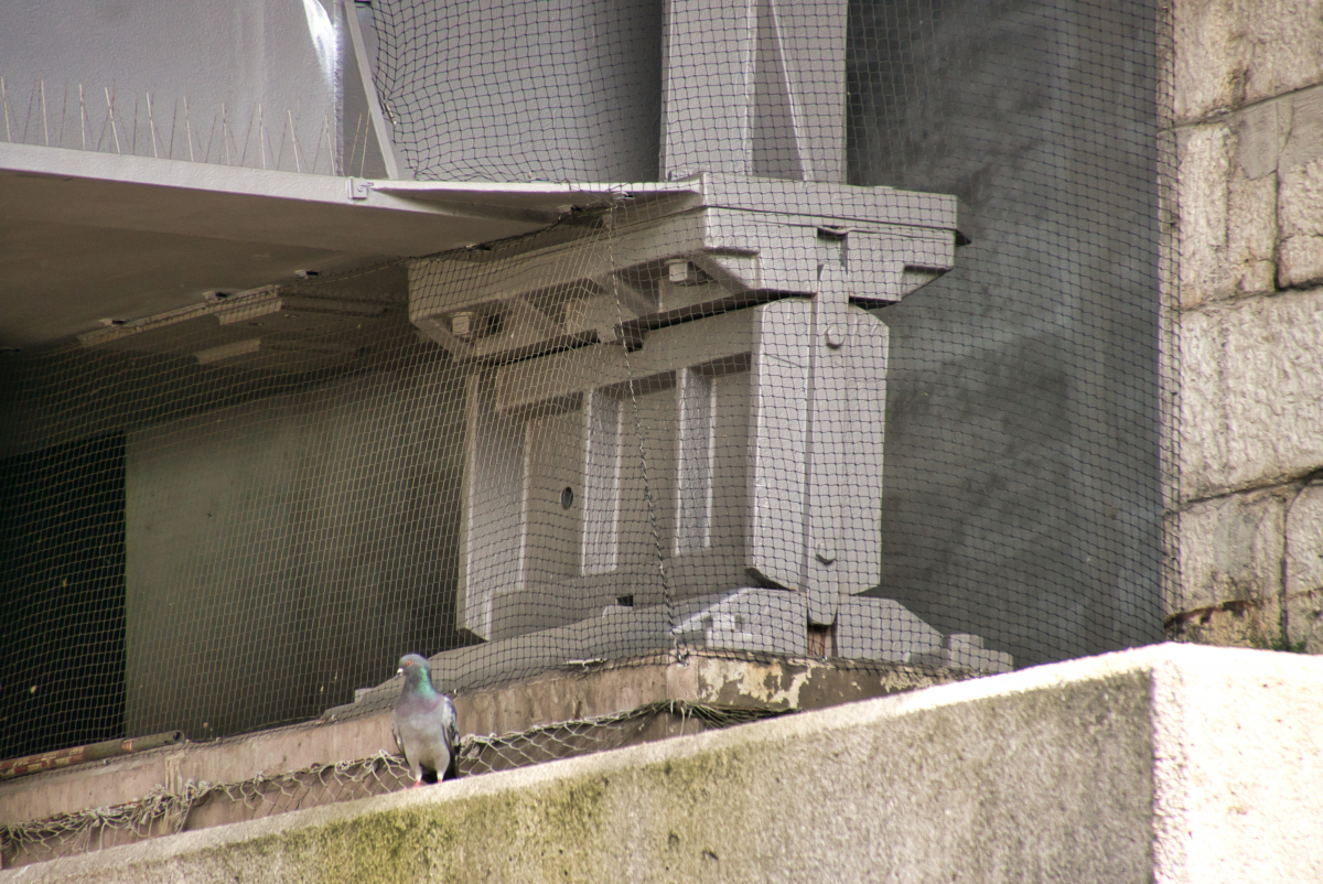 Schwarzwaldbrücke (Rail) (Basel, 1962) | Structurae