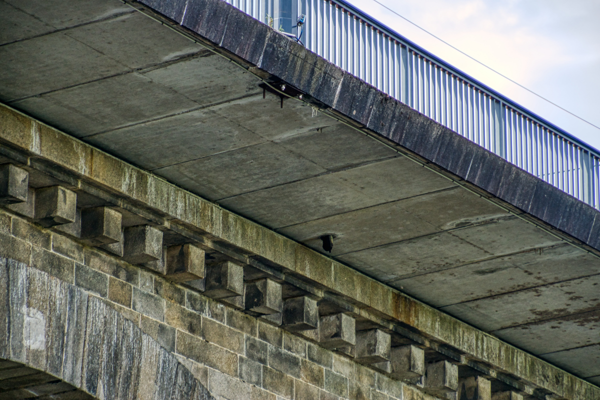 PontNeuf de Limoges (Limoges, 1840) Structurae
