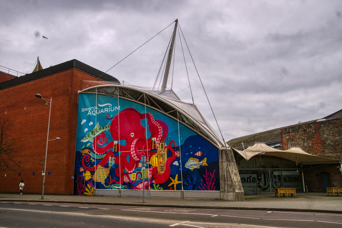 Bristol Aquarium (Bristol) | Structurae