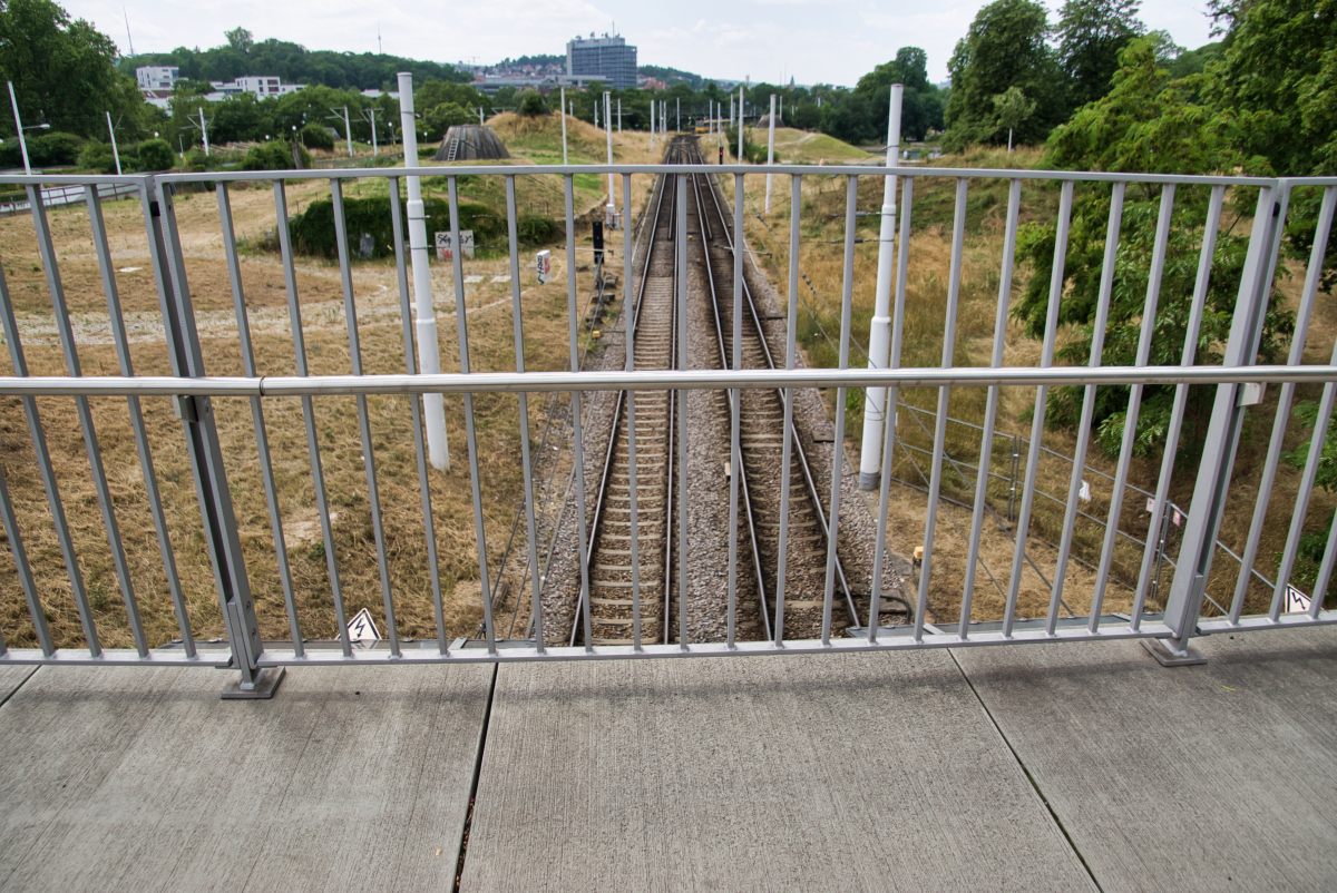Rosenstein Park Pedestrian Bridge II (Stuttgart, 2019