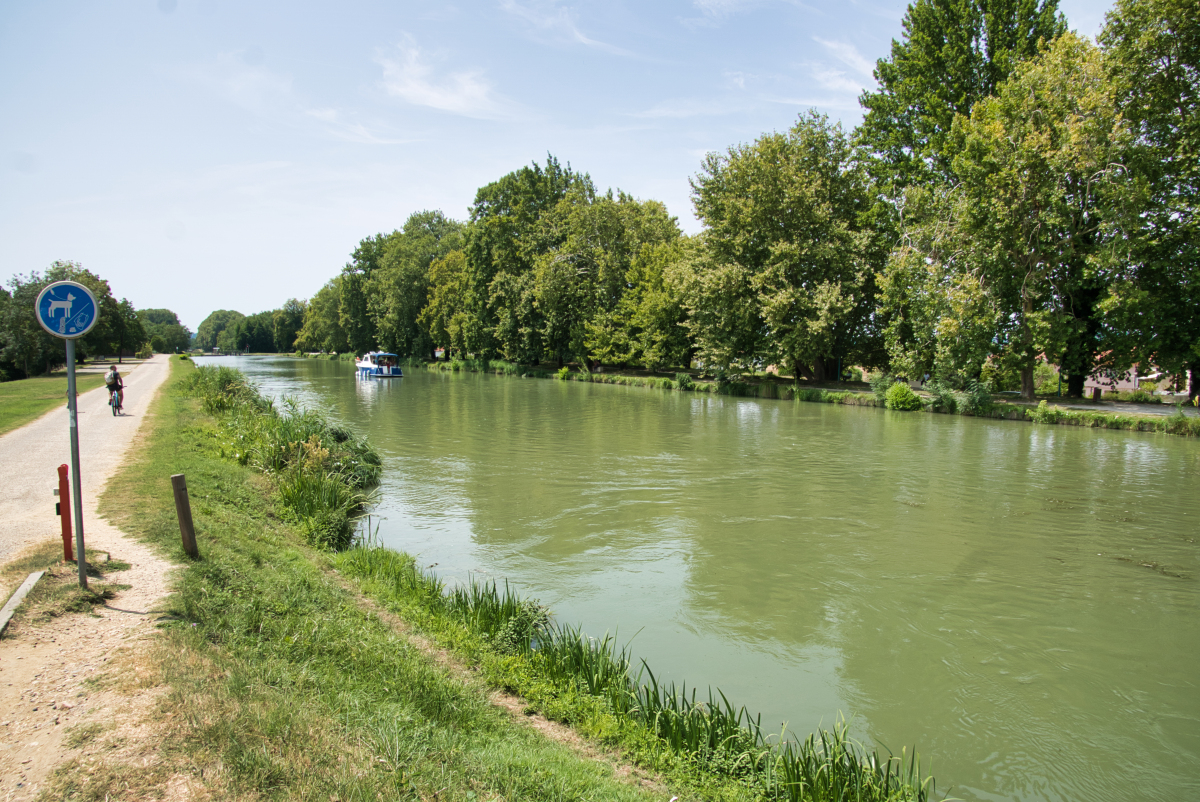 Epanchoir des patiasses et ouvrages sur la Cesse - Canal du Midi