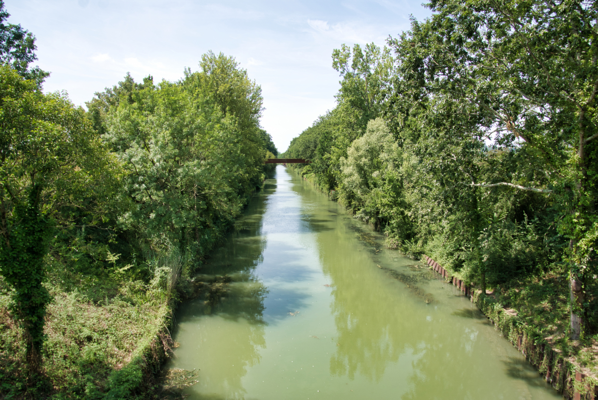 Epanchoir des patiasses et ouvrages sur la Cesse - Canal du Midi