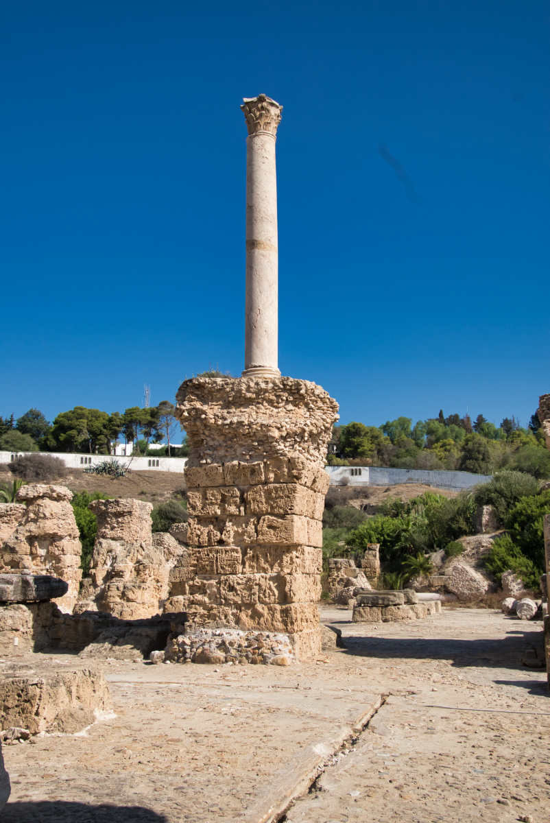 Baths of Antoninus (Carthage, 162) | Structurae