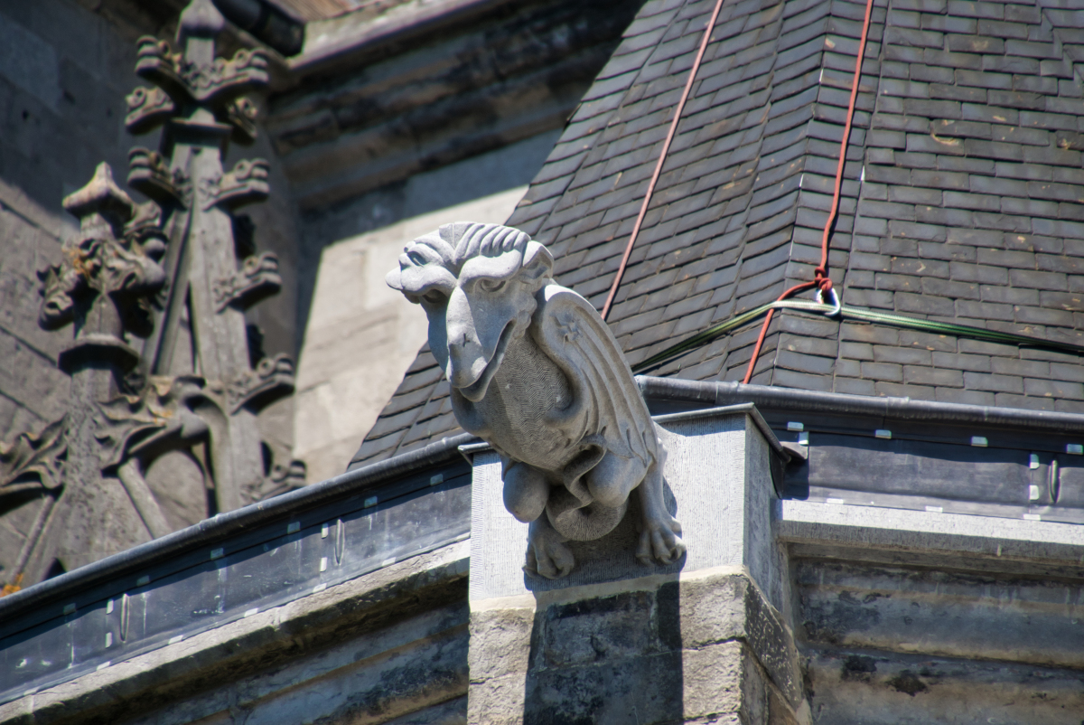 Stiftskirche Sainte-Waudru 