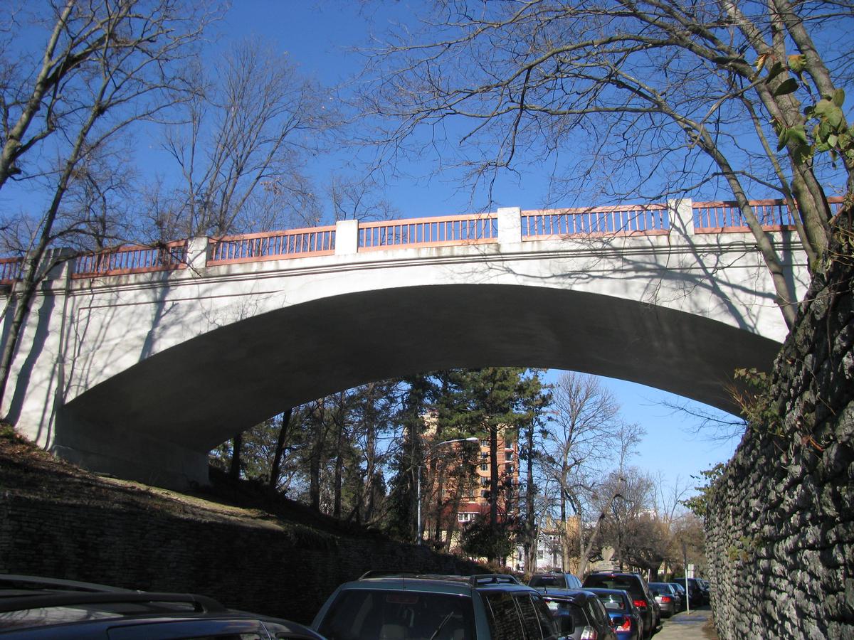 Eden Park Bridge 