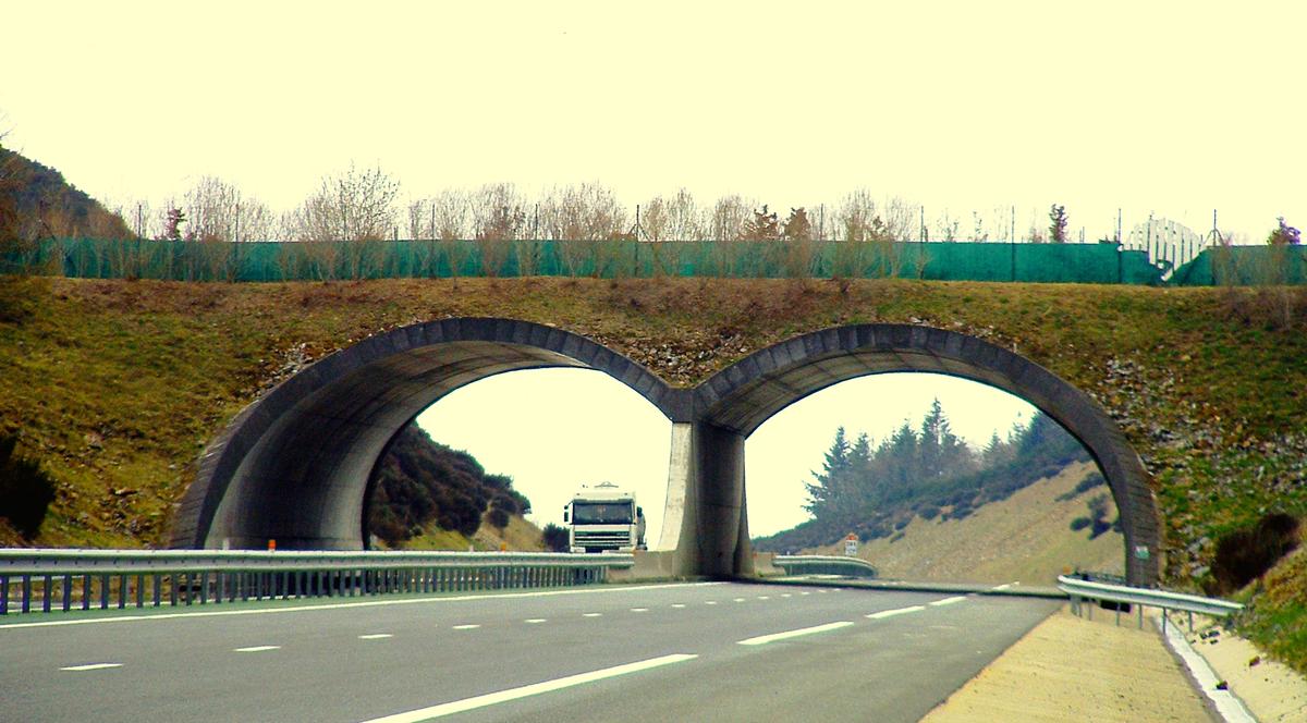 Autoroute A89 - Wildbrücke 