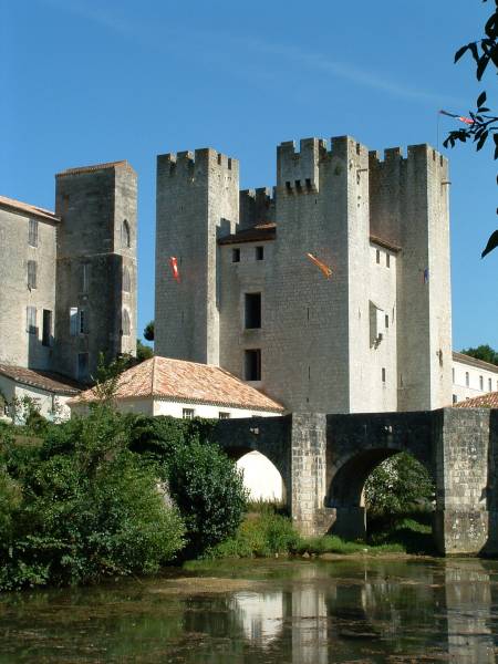 Pont et moulin fortifié de Barbaste 