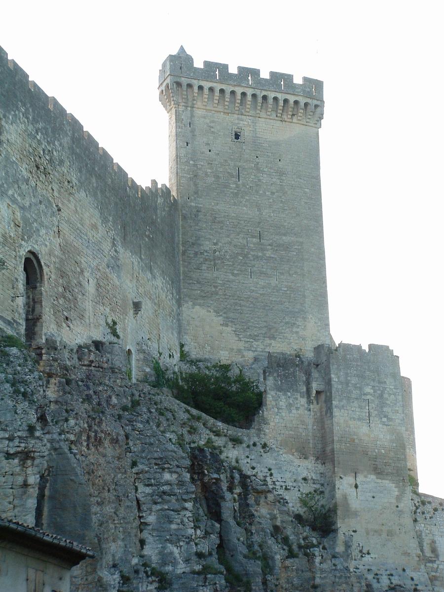 Beaucaire - Château - Vu de l'Est - Tour polygonale 