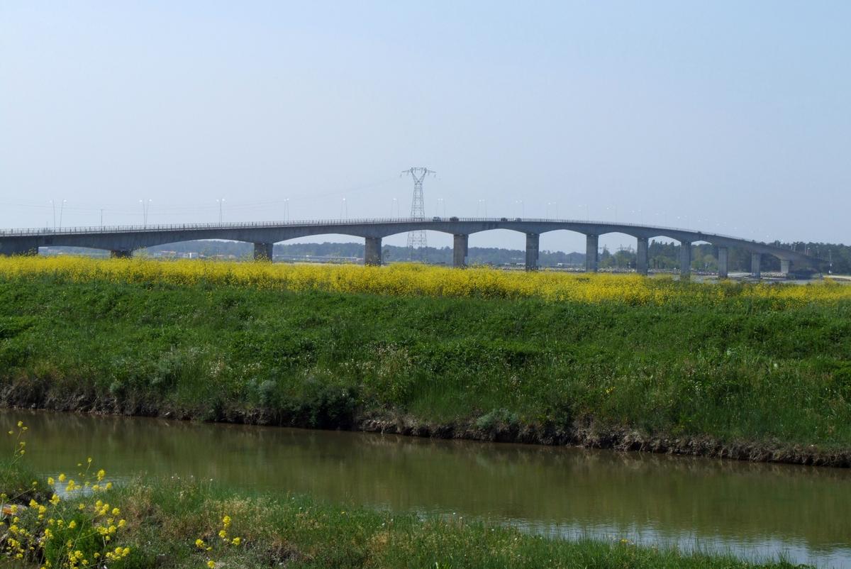 Pont sur la Seudre vu de la rive droite 