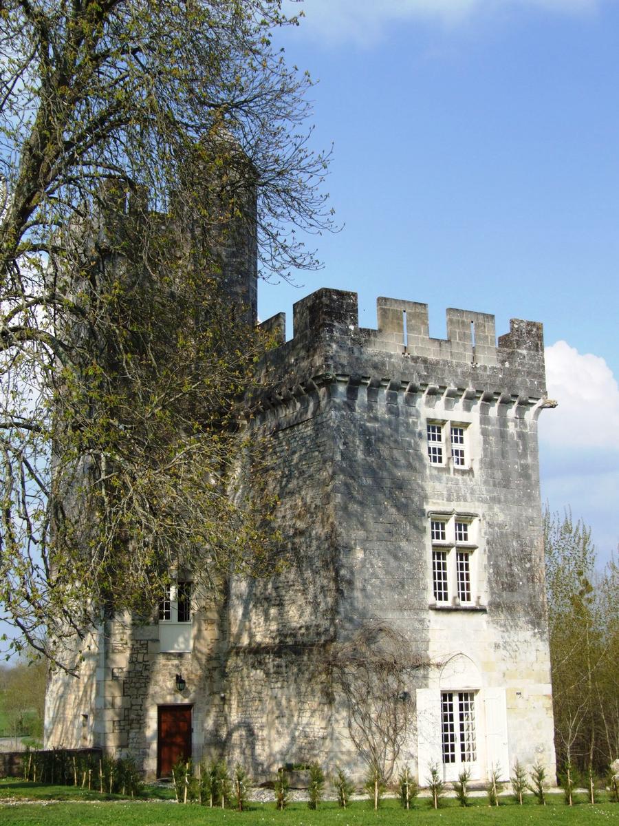 Fiche média no. 81345 Château de Crazannes - L'ancien donjon réaménagé au 16 ème quand il avait été incorporé à l'aile Renaissance aujourd'hui disparue