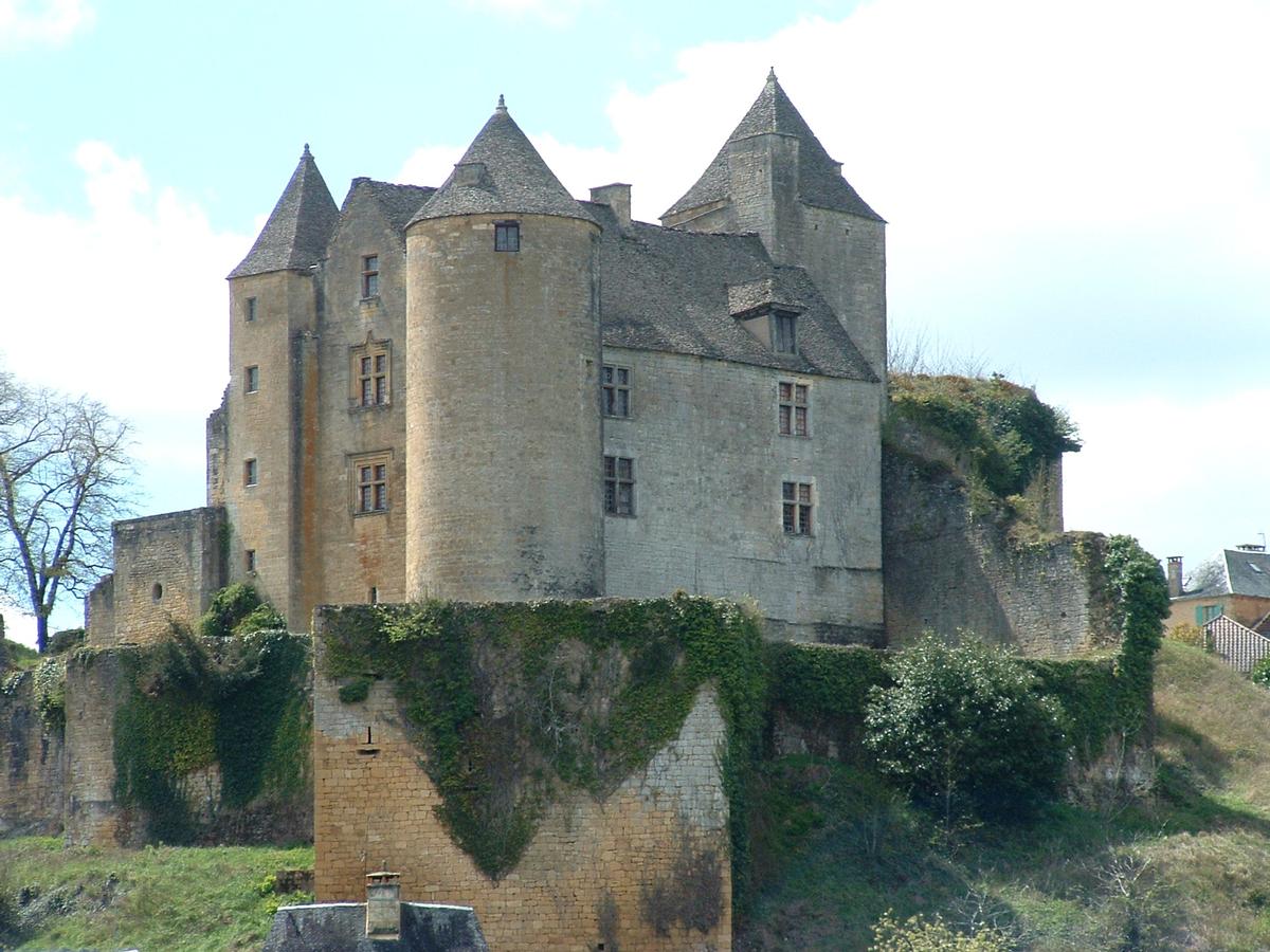 Salignac-Eyvigues - Château de Salignac - Corps de logis vu du nord 