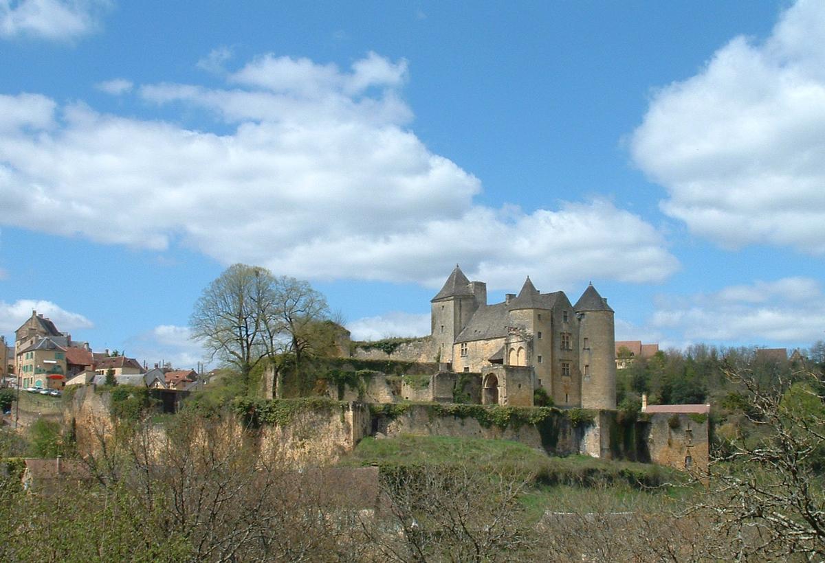 Salignac-Eyvigues - Château de Salignac - Ensemble 