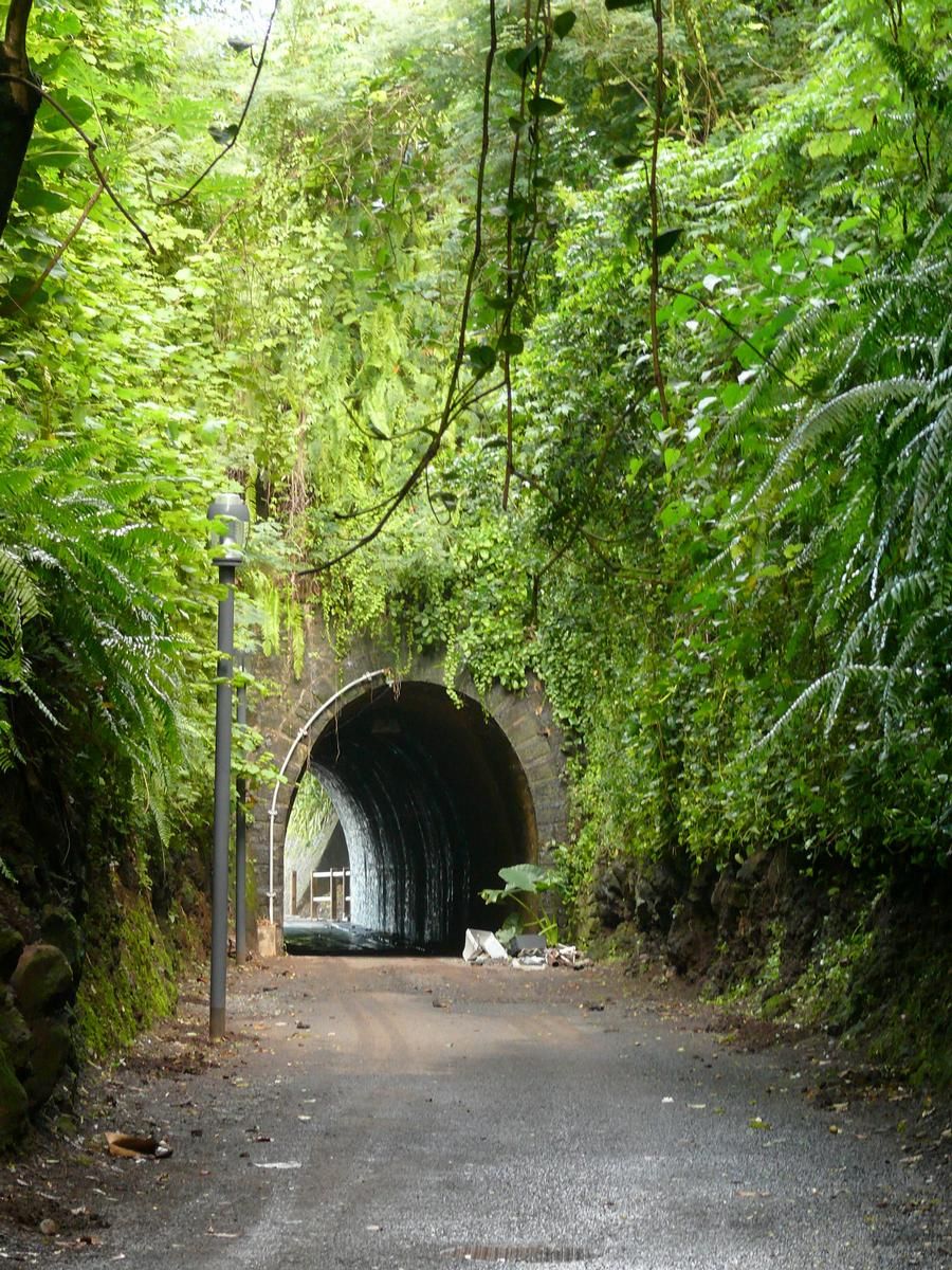 Chemin de fer de La Réunion - Tunnel de Bel-Air 