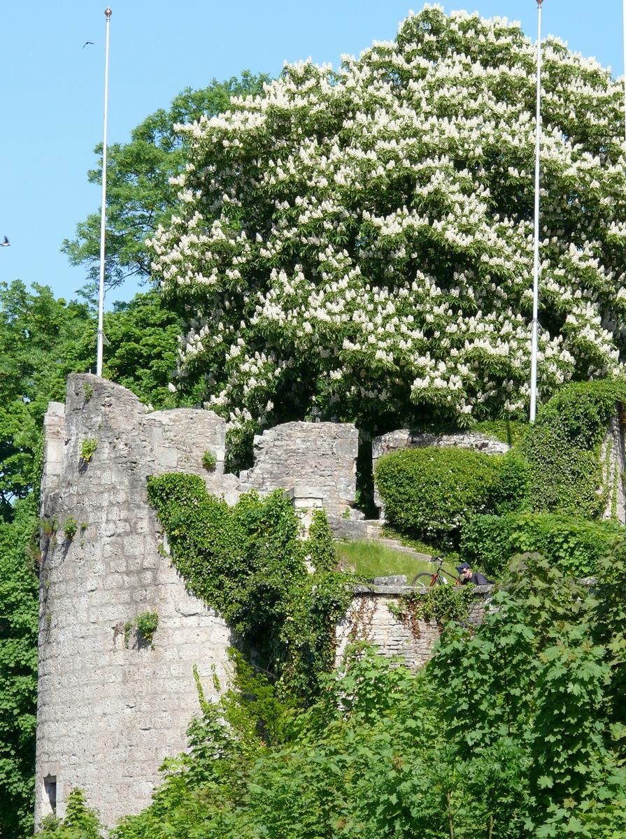 Châtillon-sur-Seine - Vestiges du château des ducs de Bourgogne 