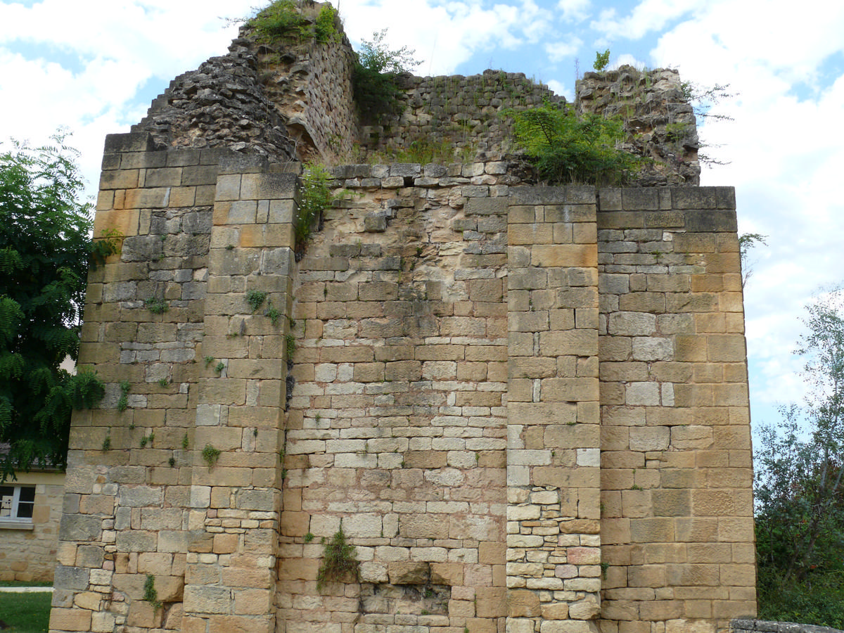 Vieux château de Saint-Geniès 