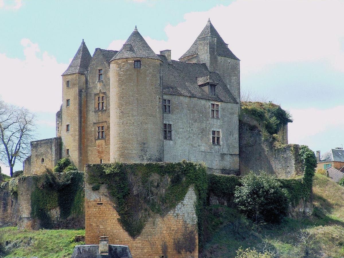 Salignac-Eyvigues - Château de Salignac 
