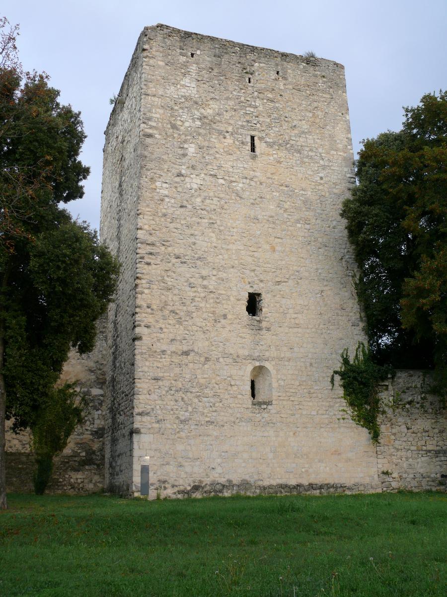 Montélimar - Château des Adhémar - Tour de Narbonne (14ème siècle) 