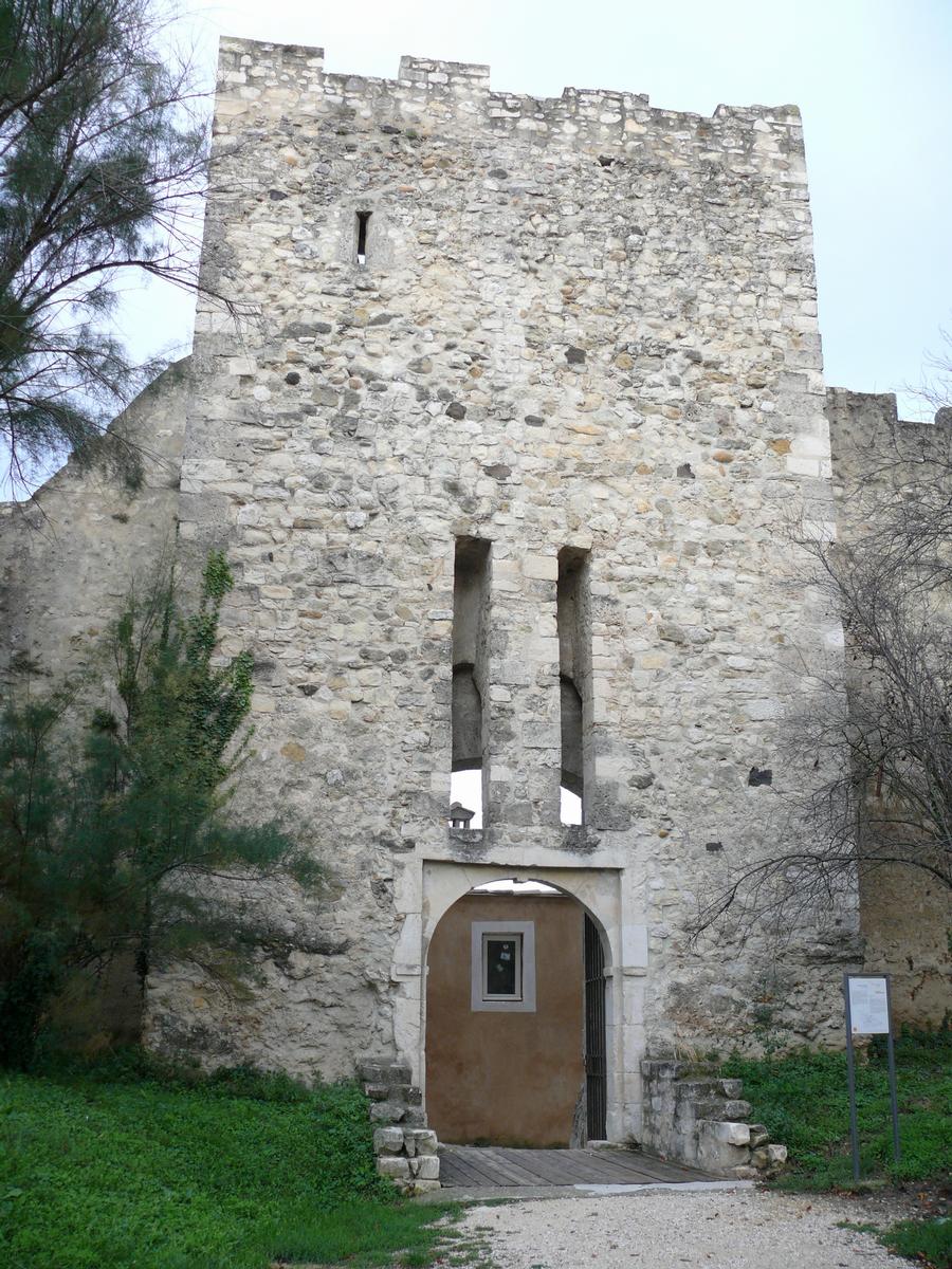 Montélimar - Château des Adhémar - Porte dite du «secours» (16ème siècle) 