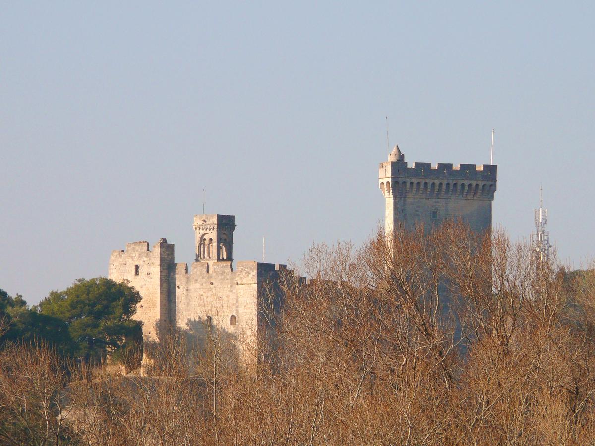 Château de Beaucaire vu du château de Tarascon 