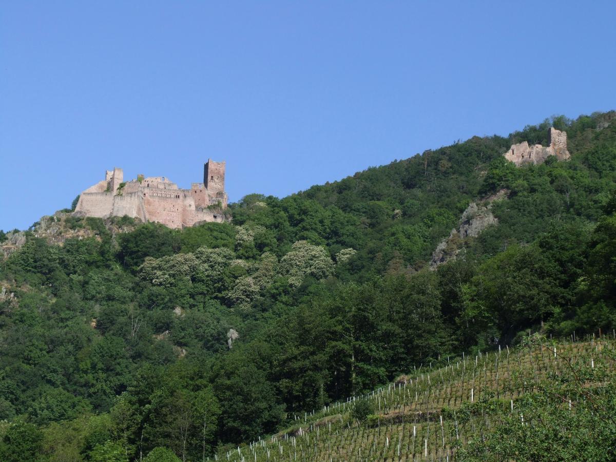 Ribeauvillé - Les châteaux Saint-Ulrich et de Girsberg 